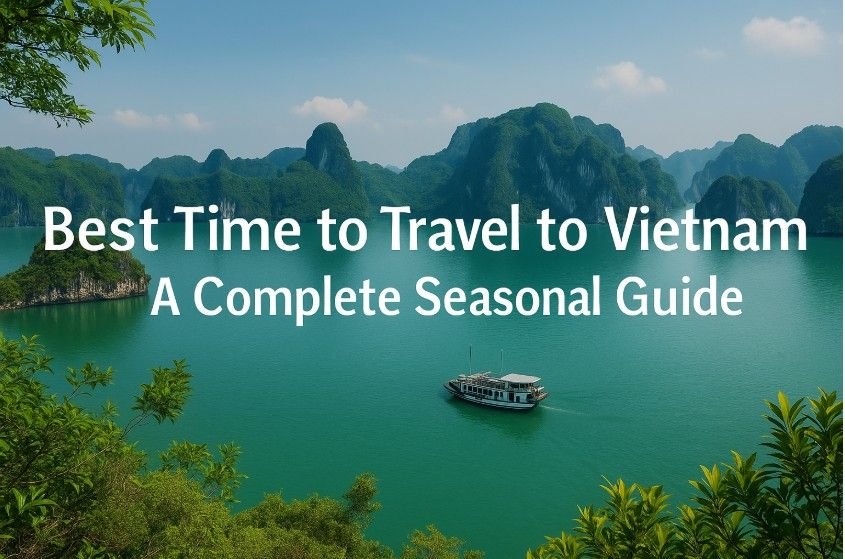 Best Time to Travel to Vietnam A Complete Seasonal Guide