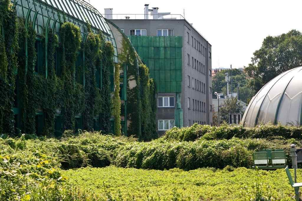 University of Warsaw Library Rooftop Garden