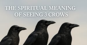 the spiritual meaning of seeing 3 crows
