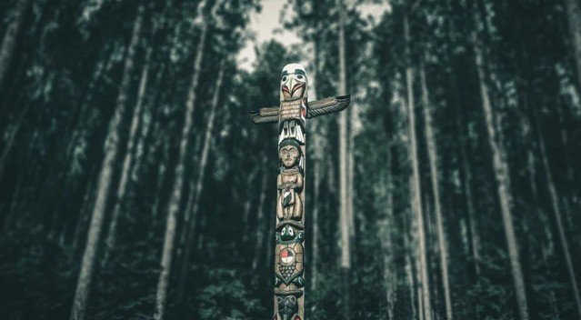 Coyote as a Spirit Animal or Totem