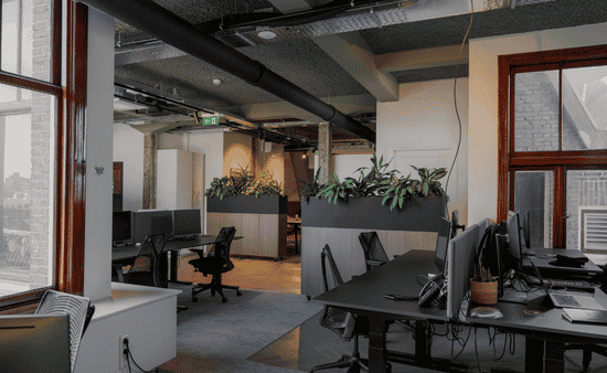 How Nature Improves Workday Productivity